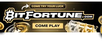 Experience the Thrill of Bitfortune Live Crypto Casino on Desktop -1285999605
